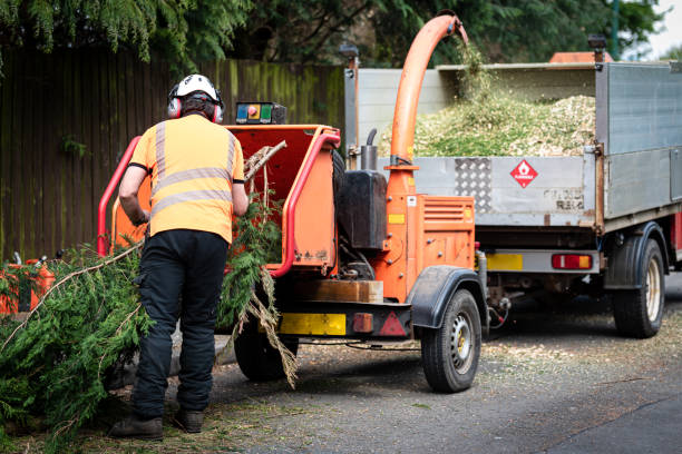 Best Tree Risk Assessment  in Monticello, MN